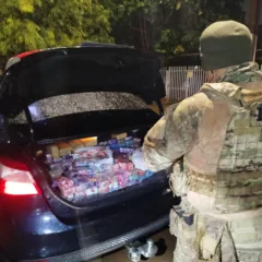 Apreensão de 257 kg de maconha em Cascavel: saiba mais sobre a abordagem da PRF e as táticas de fuga do motorista - Foto: PRF