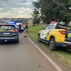 Uma operação policial em Cascavel resultou na apreensão de 400 quilos de maconha e na prisão de um traficante - Foto: SOT