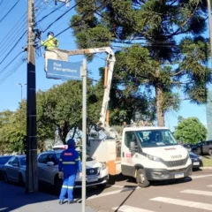 Saiba mais sobre a operação de fiação em Cascavel que busca organizar o cabeamento aéreo e retirar fios irregulares - Foto: Divulgação