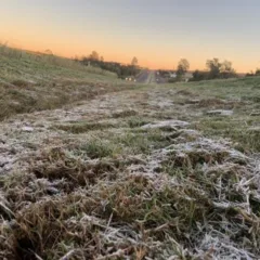Cascavel teve uma quarta-feira fria com sensação térmica de -4°C. Confira as temperaturas e a previsão do tempo - Foto: O Paraná 