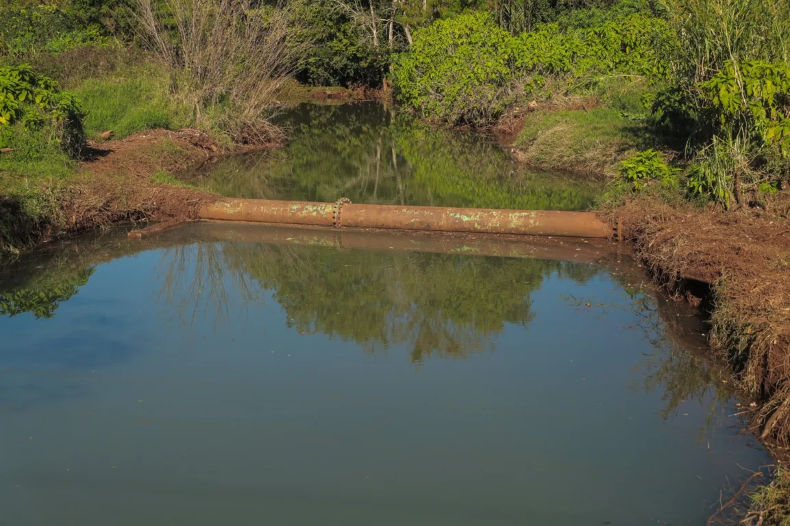 Saiba mais sobre a ação de limpeza do Rio Quati e como 13 toneladas de lixo foram retiradas para preservar o meio ambiente - Foto: Secom