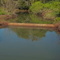 Saiba mais sobre a ação de limpeza do Rio Quati e como 13 toneladas de lixo foram retiradas para preservar o meio ambiente - Foto: Secom