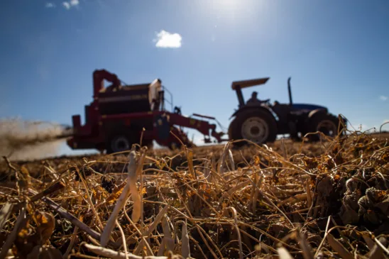 Saiba mais sobre a reestruturação do Proagro que afeta diretamente Cascavel e os pequenos agricultores na nova safra - Foto: CNA
