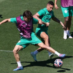  Treino tático fechou preparação do Palmeiras para jogo desta quinta-feira Foto: Cesar Greco/Palmeiras