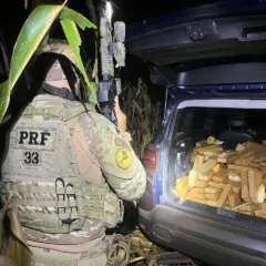 Descubra como 601 kg de maconha foram apreendidos em Cascavel e os detalhes da fuga em alta velocidade do motorista - Foto: PRF