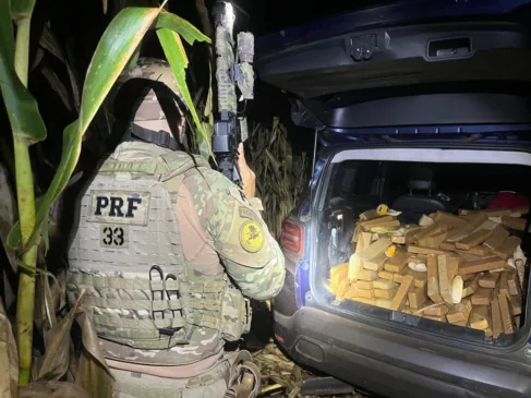 Descubra como 601 kg de maconha foram apreendidos em Cascavel e os detalhes da fuga em alta velocidade do motorista - Foto: PRF