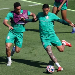 Descubra as últimas notícias sobre o Mundial e as lesões que afetam Palmeiras e Botafogo antes das quartas de final - Foto: Cesar Greco/Palmeiras