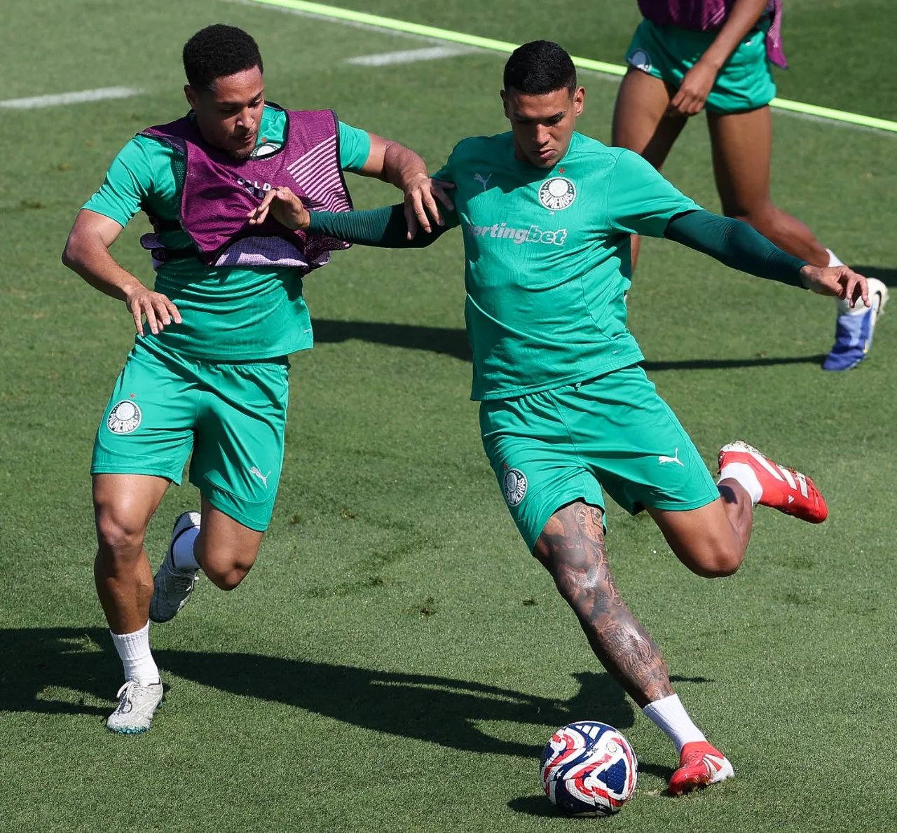 Descubra as últimas notícias sobre o Mundial e as lesões que afetam Palmeiras e Botafogo antes das quartas de final - Foto: Cesar Greco/Palmeiras
