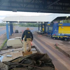 Descubra a história por trás da apreensão de 600 mil maços de cigarros pela PRF na BR-163 nesta quarta-feira - Foto: PRF