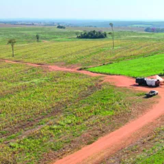 Saiba mais sobre o Ferroeste e a avaliação de terras adquiridas pela Itaipu para assentamentos indígenas na região Oeste - Foto: FAEP