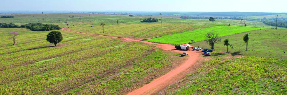 Saiba mais sobre o Ferroeste e a avaliação de terras adquiridas pela Itaipu para assentamentos indígenas na região Oeste - Foto: FAEP