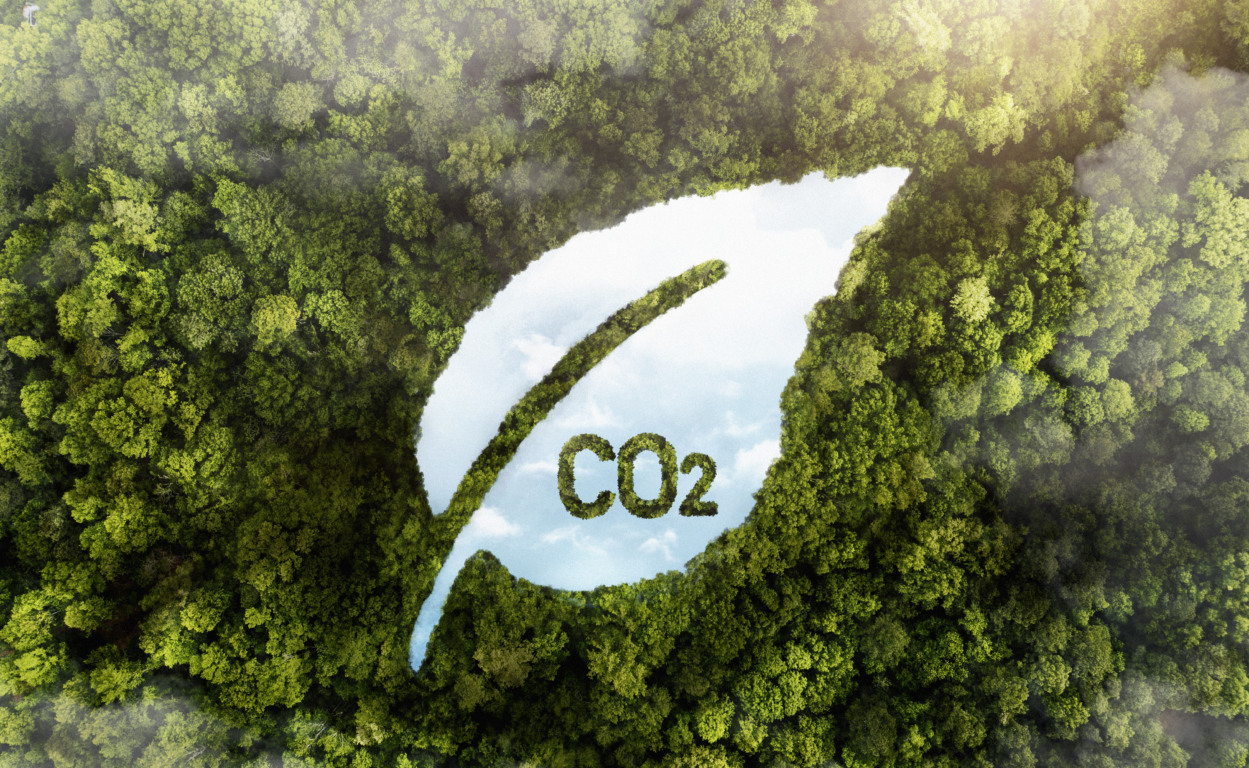 Descubra as novidades sobre o mercado regulado de carbono e o plano de implementação que será divulgado pelo governo federal - Foto: Reprodução Descubra as novidades sobre o mercado regulado de carbono e o plano de implementação que será divulgado pelo governo federal - Foto: Reprodução