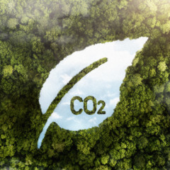 Descubra as novidades sobre o mercado regulado de carbono e o plano de implementação que será divulgado pelo governo federal - Foto: Reprodução