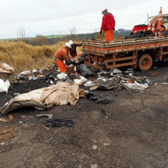 EPR Iguaçu coleta 55 toneladas de resíduos nas rodovias, assegurando manutenção e segurança viária no Paraná - Foto: Assessoria 