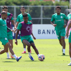 Partida de Mundial: Palmeiras e Chelsea lutam por um lugar na semifinal. Fique por dentro das novidades e escalações- Foto: Cesar Greco/Palmeiras