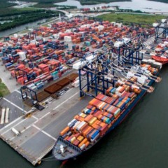 Saiba como o setor de café enfrenta desafios e prejuízos no Brasil devido a problemas de exportação e estruturas nos portos - Foto: Divulgação 
