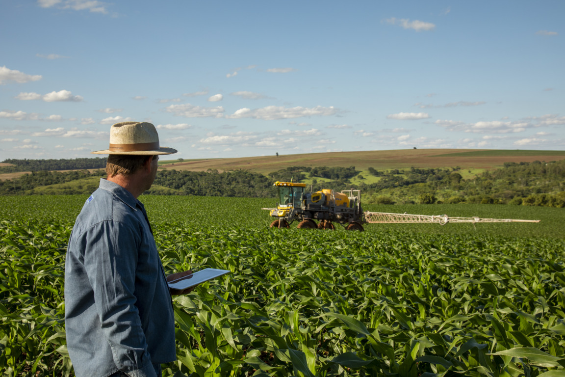 Entenda a importância da Safrinha e os aprendizados que a segunda safra de milho trouxe para os agricultores brasileiros  - Foto: BASF