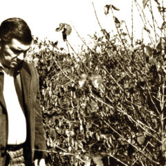50 anos depois da geada negra, frio relembra virada histórica na agropecuária do Paraná