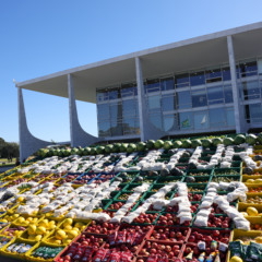 Plano para Agricultura Familiar não atendeu reivindicação das cooperativas e chegou com juros mais altos - Foto: Fabio Rodrigues-Pozzebom/ Agência Brasil