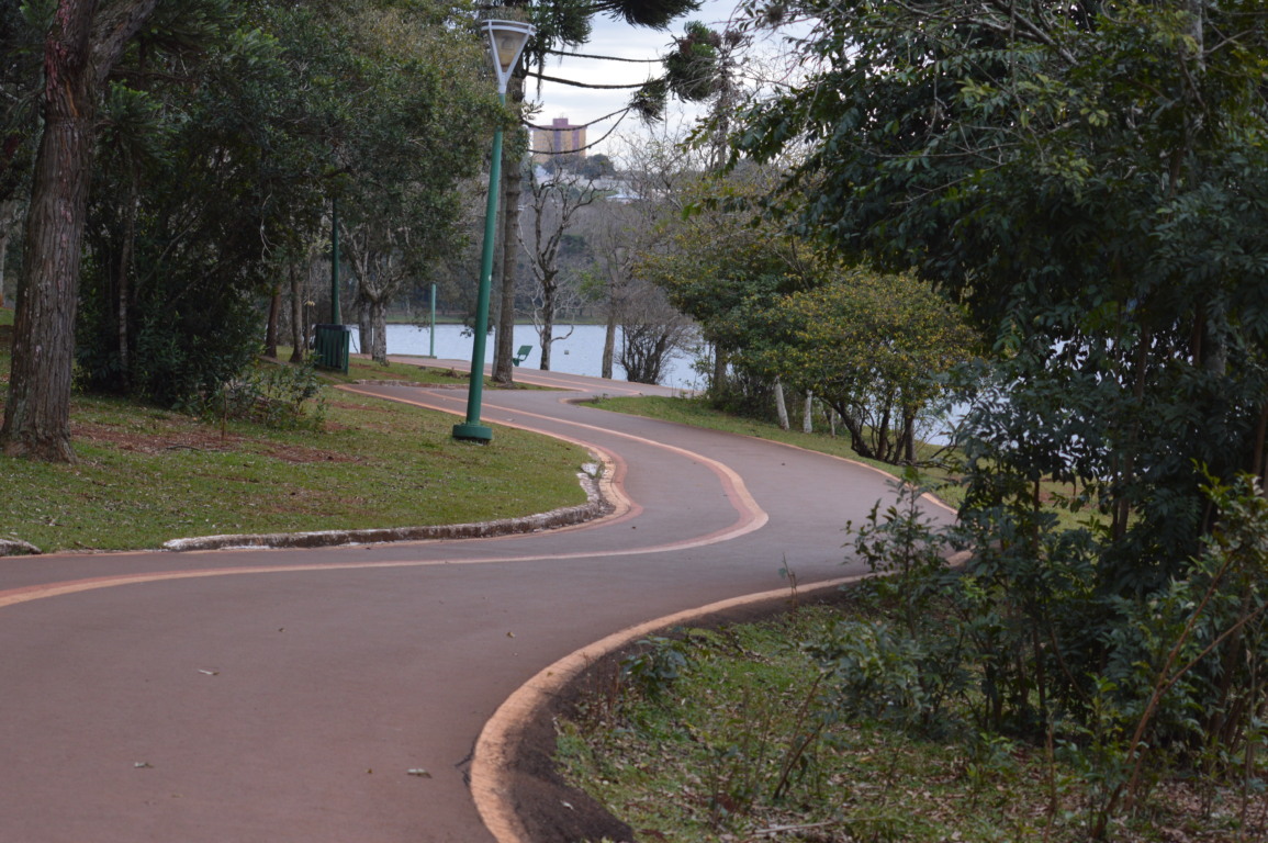 Conheça as câmeras de videomonitoramento instaladas em Cascavel para combater vandalismo e furto em espaços públicos - Foto: Paulo Alexandre/O Paraná