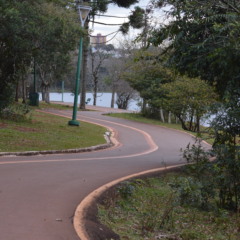 Conheça as câmeras de videomonitoramento instaladas em Cascavel para combater vandalismo e furto em espaços públicos - Foto: Paulo Alexandre/O Paraná