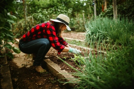Como escolher a melhor roçadeira para o seu jardim: tipos, usos e cuidados essenciais