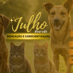 Descubra como o Paraná promove a saúde animal e a conscientização durante o Julho Dourado para os pets da região - Arte: Anne Botero
