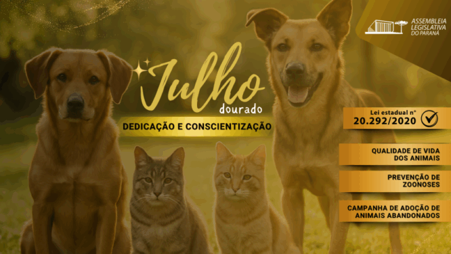 Descubra como o Paraná promove a saúde animal e a conscientização durante o Julho Dourado para os pets da região - Arte: Anne Botero