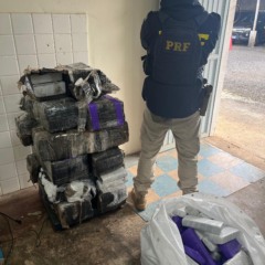 Em Guarapuava, PRF recupera veículo furtado e apreende grandes quantidades de maconha em operação policial - Foto: PRF