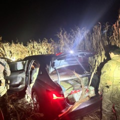 Conheça a recente apreensão de droga pela PRF: 403 quilos de maconha em um carro em Cascavel - Foto: PRF