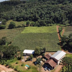 Participe do evento sobre oportunidades do Novo Código Florestal em Cascavel e aprenda sobre gestão ambiental nas propriedades rurais - Foto: Reprodução