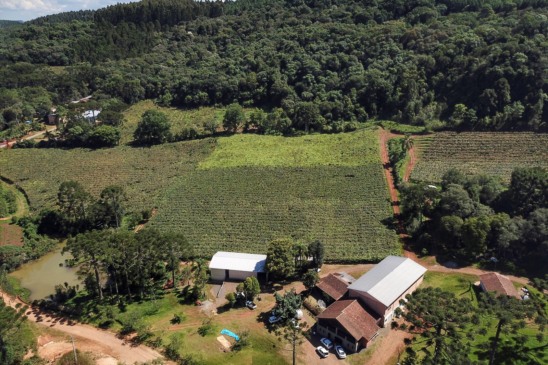 Participe do evento sobre oportunidades do Novo Código Florestal em Cascavel e aprenda sobre gestão ambiental nas propriedades rurais - Foto: Reprodução