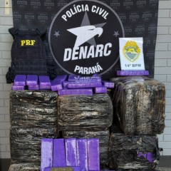Um motorista em fuga e a apreensão de 468,8 quilos de drogas marcam uma operação de segurança em Santa Terezinha - Foto: PRF