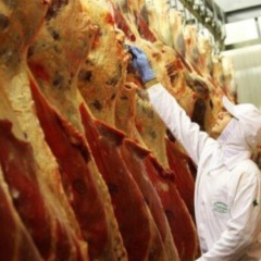 Entenda como a sobretaxa nos produtos brasileiros, como a carne, pode impactar Cascavel e suas exportações - Foto: ABRAFRIGO