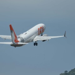 Foto: Wagner Assis/Cedro Photos
