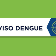 Saiba mais sobre os recentes casos de dengue no Paraná e as medidas tomadas pela Secretaria de Saúde do Estado - Arte: Sesa