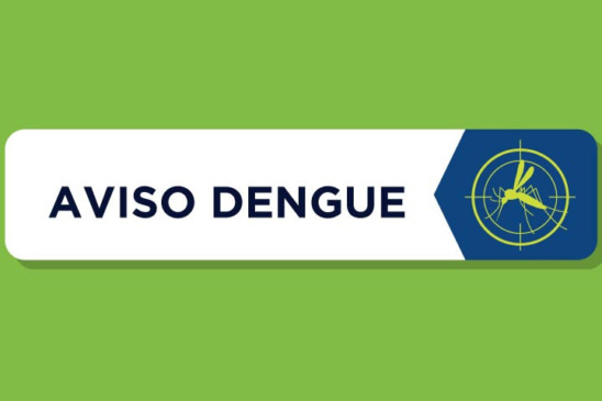 Saiba mais sobre os recentes casos de dengue no Paraná e as medidas tomadas pela Secretaria de Saúde do Estado - Arte: Sesa
