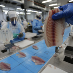 O Tarifaço traz uma nova ameaça: descubra como a taxação de 100% dos produtos brasileiros pode afetar o comércio - Foto : Jonathan Campos / AEN