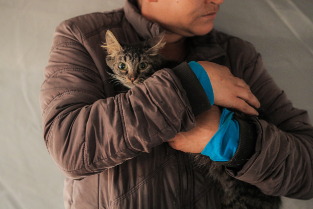 Vacinação gratuita contra a raiva para cães e gatos em Cascavel. Participe e proteja a saúde dos seus pets - Foto: Secom