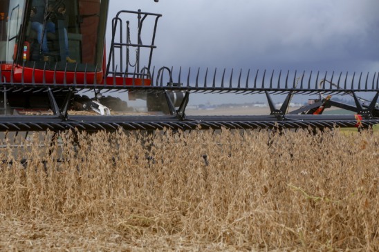 Descubra como o Paraná alcançou a maior variação positiva na produção agrícola de grãos do Brasil para 2025 - Foto: Gilson Abreu/AEN Descubra como o Paraná alcançou a maior variação positiva na produção agrícola de grãos do Brasil para 2025 - Foto: Gilson Abreu/AEN