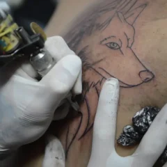 Descubra as diretrizes do Brasil sobre anestesia em tatuagens e as condições permitidas para a sua aplicação - Foto: Fabio Rodrigues Pozzebom/Agência Brasil