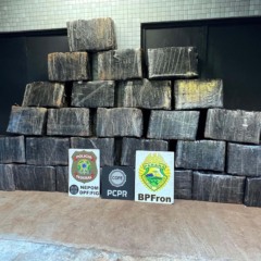Operação no Paraná resulta na prisão de dois homens e apreensão de 732,4 quilos de maconha em porto clandestino - Foto: SESP