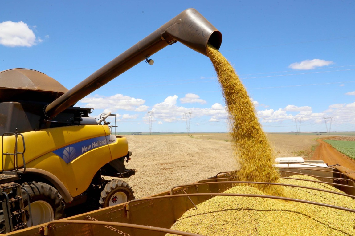 Explore as novidades sobre o mercado de commodities agrícolas e o papel do Brasil diante das tarifas dos EUA - Fotos: Jaelson Lucas / Arquivo AEN