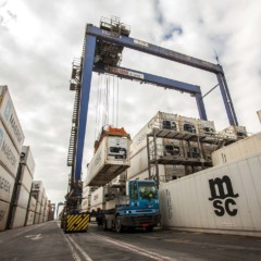 Descubra as últimas notícias sobre o Paraná e sua crescente exportação de perus. Resultados positivos no mercado agropecuário - Foto:  AEN