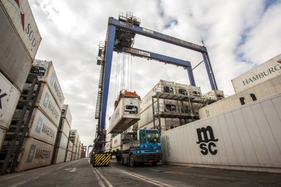 Descubra as últimas notícias sobre o Paraná e sua crescente exportação de perus. Resultados positivos no mercado agropecuário - Foto:  AEN