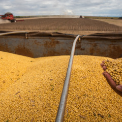 Foto: CNA