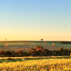 Descubra as últimas notícias sobre Terra Roxa e o acordo entre a comunidade indígena Ava-Guarani e proprietários de terras - Foto: Comissão TJPR