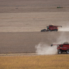 Paraná é o 2º em roubos e furtos de maquinário agrícola no Brasil