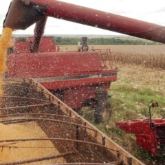 Indústria perde ritmo e deve crescer apenas 1,7%; agro ganha mais peso
