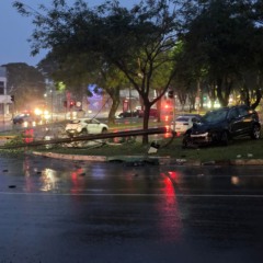 Cascavel: acidente de trânsito deixa mulher presa. Saiba mais sobre a colisão e a situação da motorista sem CNH - Foto: Polícia Militar